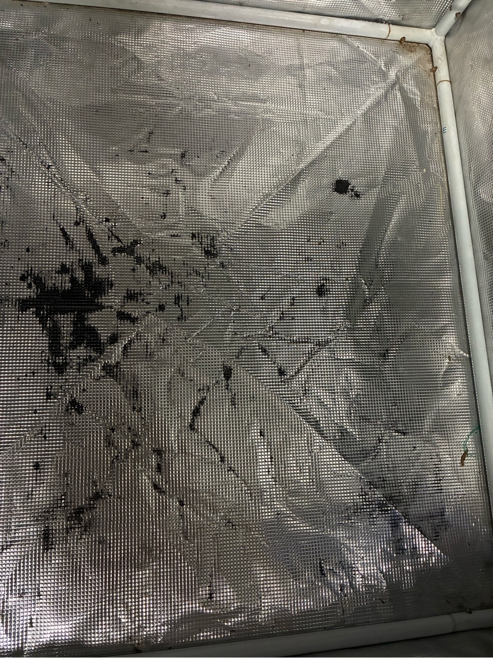 Hydroponic Indoor Garden Grow Tent - Mars Hydro 70x70x160cm ((Reflective Mylar) - Picture 14 of 14
